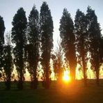 Adele Gerber - Facebook