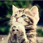 de leukste foto's ever - @cute_girls_picture - Instagram