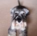 Adele Gilchrist - Facebook