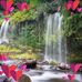 Adele Gilchrist - Facebook