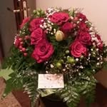 Adele Giordano - @giordano7701 - Instagram