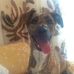 Adele Giordano - Facebook