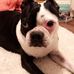 Adele Giordano - Facebook
