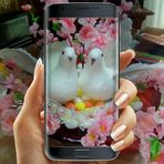 Adele Giuliano - Facebook