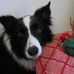 Adele Glover - Facebook
