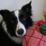 Adele Glover - @adele.glover.13 - Instagram