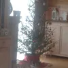 adelegoffaux - @adeletuyu - TikTok