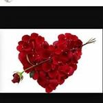 Gogi Adel - @gogiadel12 - Instagram
