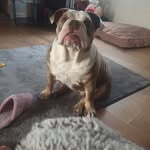 Adele Goulder - @adelegoulder - Instagram