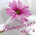 Adele Greco - Facebook