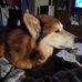 Adele Greco - Facebook
