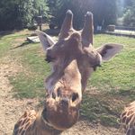 Adele Green - @__adele.green__ - Instagram
