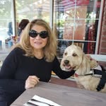 Adele Greenberg - @msvengirl - Instagram