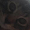 Katie Adele Gribble - @zakattack1254 - TikTok