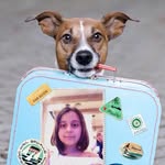 Adele Grilli - @ade.gri.0610 - Instagram