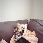 Adele Guccione De Mio - @adeledemio689 - Instagram