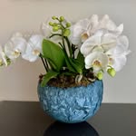 Adele Haber - @haber.adele - Instagram
