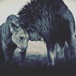 Adele Hallo - @adele__hallo - Instagram