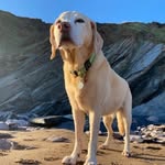Adele Hart - @adelehart689 - Instagram