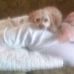 Adele Higgins - Facebook