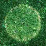 adelejackson - @adelejackson - Instagram