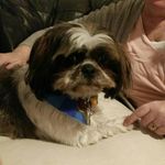 Adele Lawson - @adele.lawson.338 - Instagram