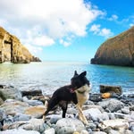 Adele Leonard - @adele.leonard.9 - Instagram