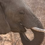 Adele Lloyd - @adele_wildlifeadventures - Instagram