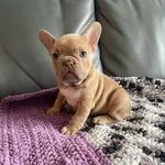 Mahlia Adele Lofgren Kestirke - @mahlia.01 - Instagram