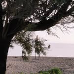 Adele Lombardo - @pupearte1 - Instagram
