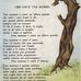 Adele Lombardo - Facebook