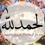 عادل قطب - @adelelord5732878 - Instagram