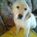 Adele Lord - Facebook