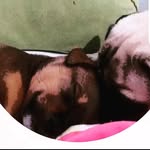 adele babini e luna babini🐶 - @adele.luna.babini - Instagram