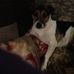 Adele Maddox - Facebook