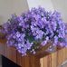 Adele Maggio - Facebook