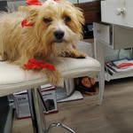 adele mangano - @mangano.adele - Instagram