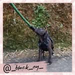 @adelemanning215125 - Instagram