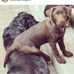 Adele Marais - @adele.marais.524 - Instagram