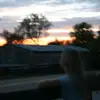 ️adele 🌺 - @adelemarie.spamss - TikTok