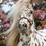 adele Marino - @adele.marino69 - Instagram