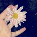 Adele Marrocu - @adelemarrocu - Instagram