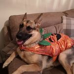 Adele Entwistle - @adele.marsh.74 - Instagram