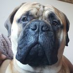Adele Marsh - @alouise1212 - Instagram