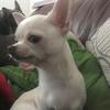 adelemarsh619 - @adelemarsh619 - TikTok