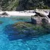 adelemartino7 - @adelemartino7 - TikTok