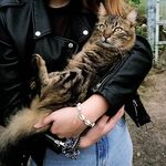 Adele,Mason,biubo,Tita,Kiko - @petspereira2019 - Instagram