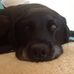 Adelle McArdle - Facebook
