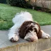 adelemccabe0 - @adelemccabe0 - TikTok