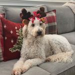 Adele McCarthy - @little_samphire - Instagram
